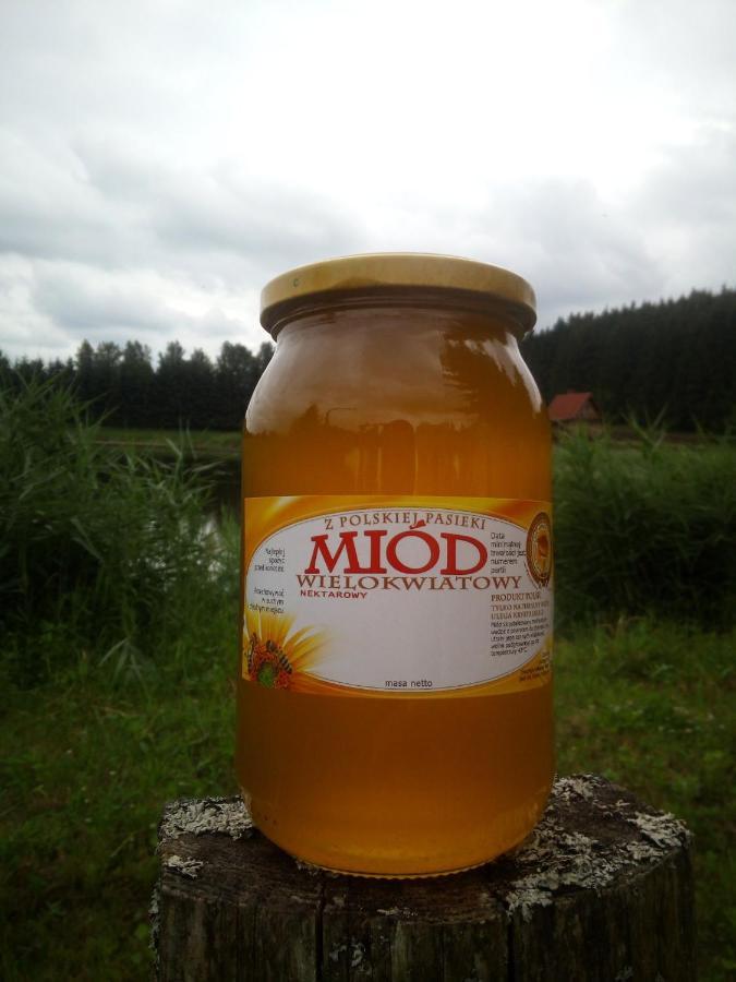 HEXAGON HONEY HOUSE+ prywatna plaża+jezioro+ stawy+ gospodarstwo+ pasieka Srokowo Zewnętrze zdjęcie