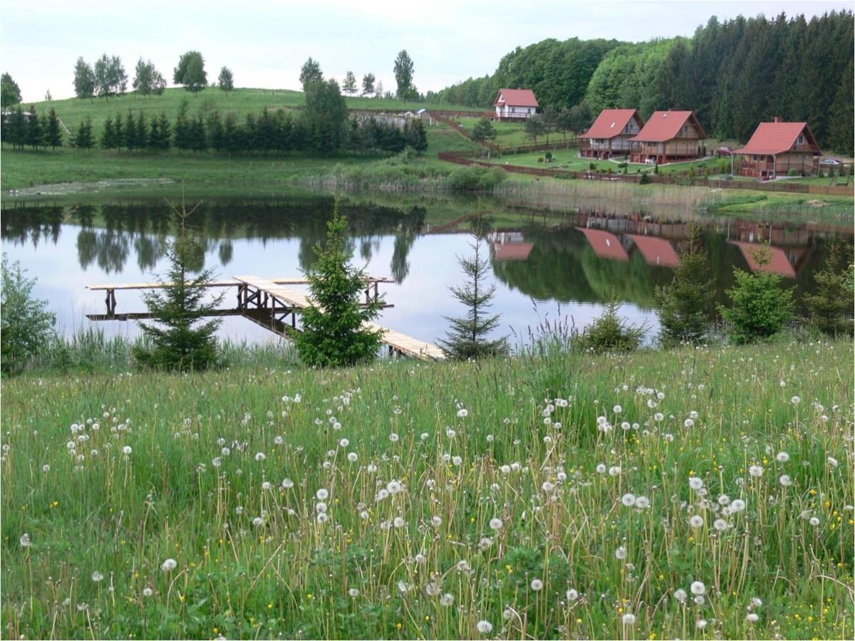 HEXAGON HONEY HOUSE+ prywatna plaża+jezioro+ stawy+ gospodarstwo+ pasieka Srokowo Zewnętrze zdjęcie